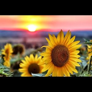 Meet your Posher, Kierra